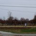 Our Playground - "Before" Picture